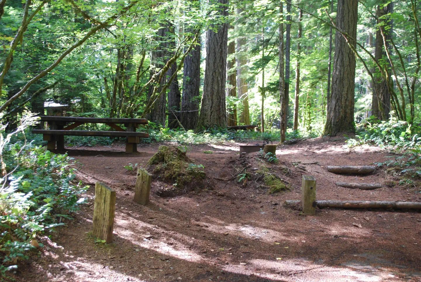 Moss Creek campground photo 3