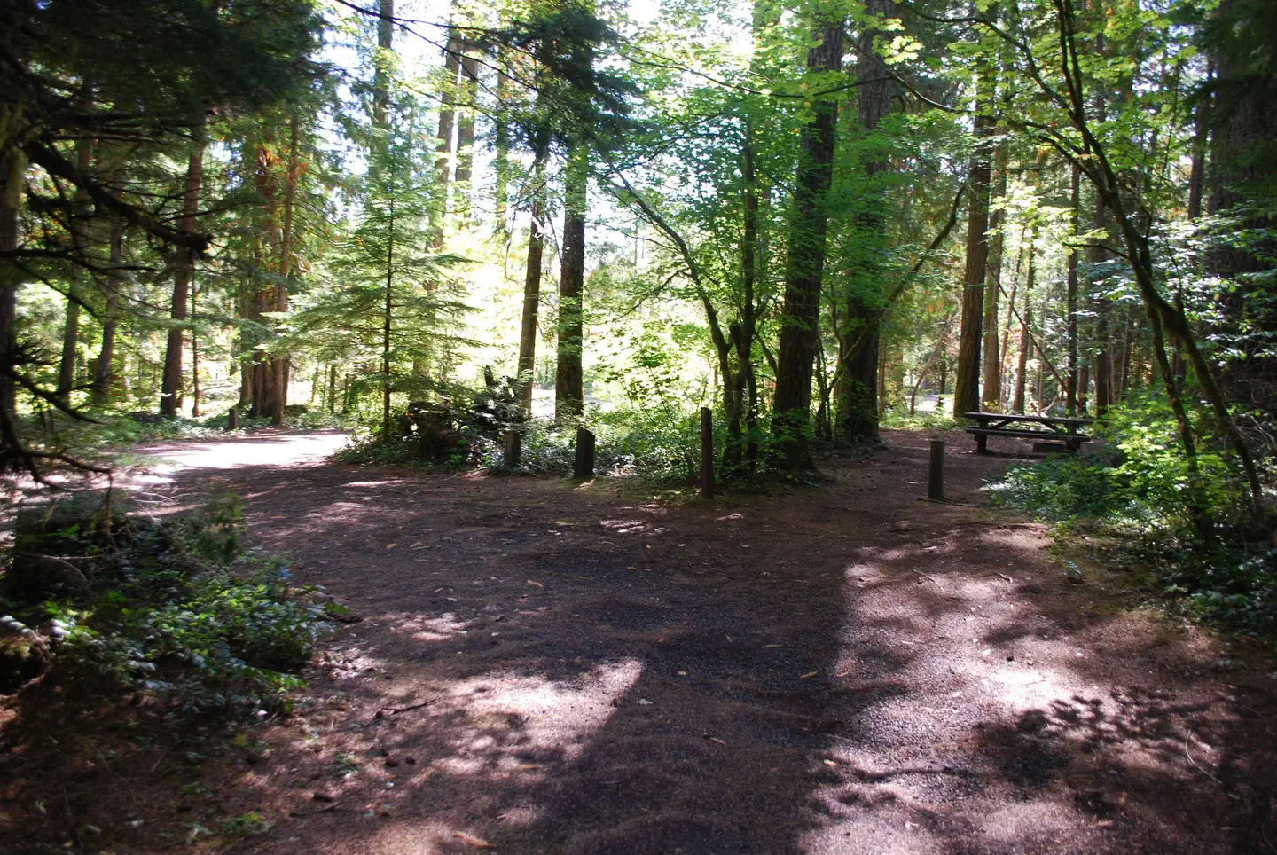 Moss Creek campground photo 5