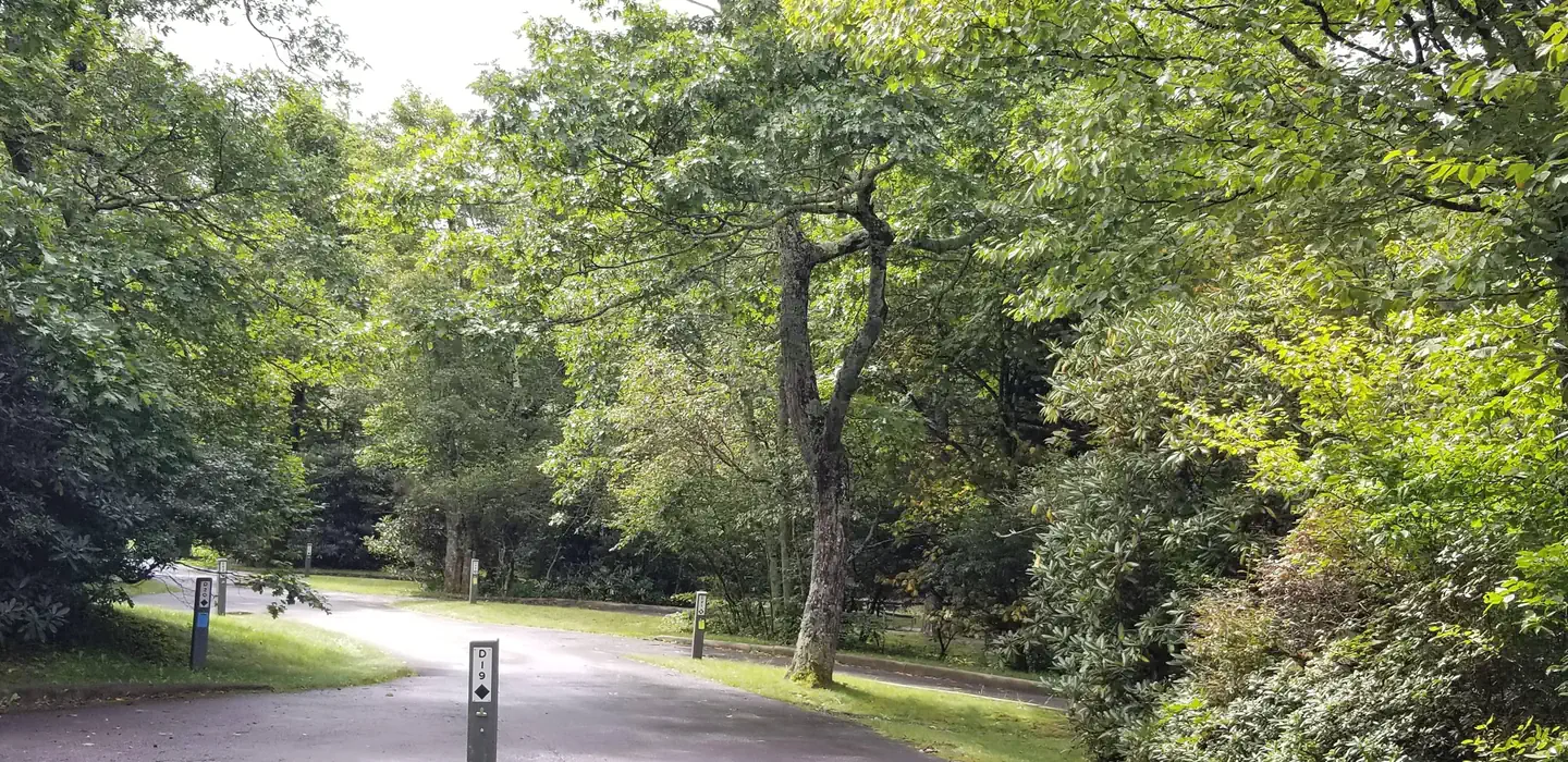 MOUNT PISGAH CAMPGROUND photo 2