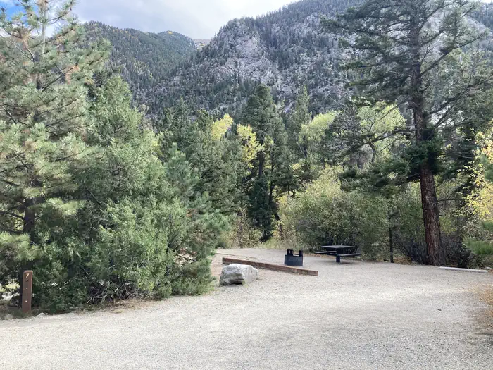 MOUNT PRINCETON photo 4