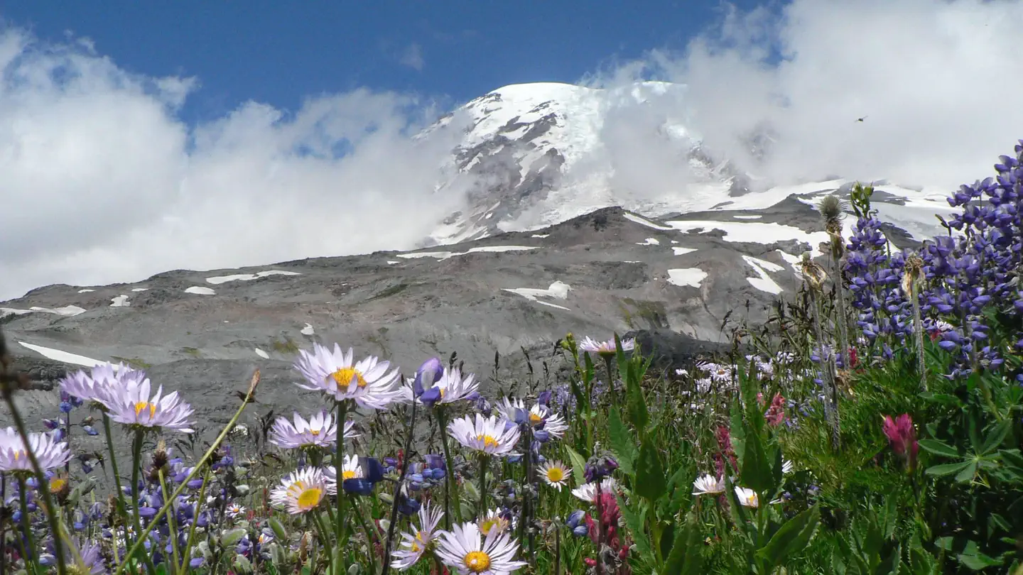 Mount Rainier National Park Wilderness and Climbing Permits photo