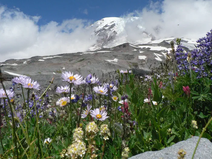 Mount Rainier National Park Wilderness and Climbing Permits photo 2