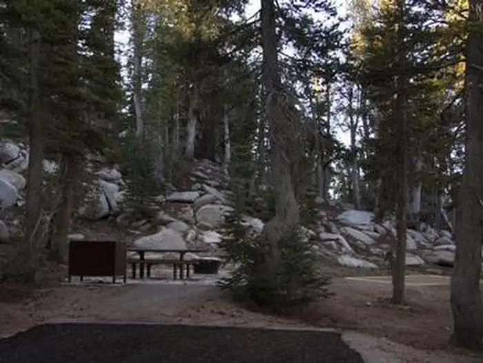 MOUNT ROSE (NV) photo 4