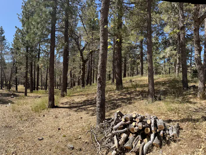 MOUNTAIN OAK photo 3