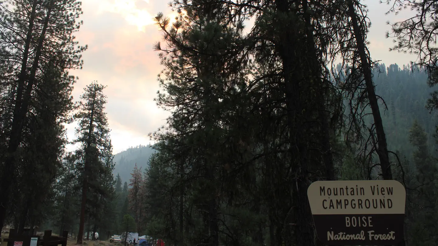 MOUNTAIN VIEW photo