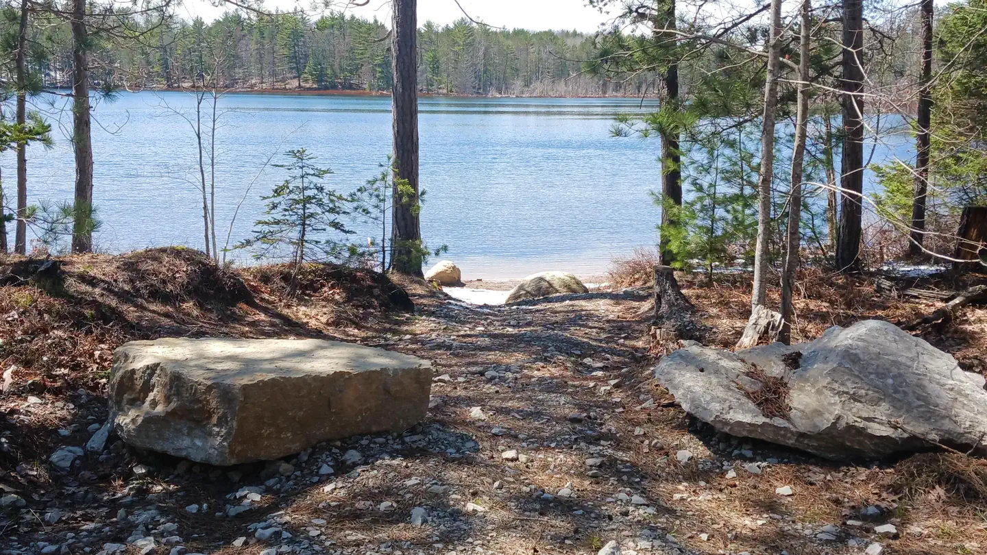 Mowe Lake Campsites photo