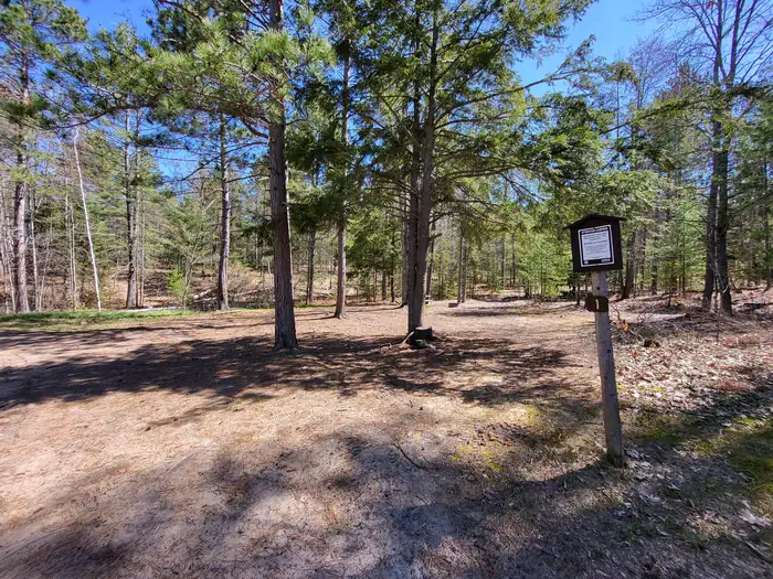 Mowe Lake Campsites photo 3
