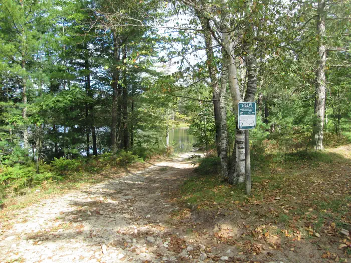 Mowe Lake Campsites photo 4