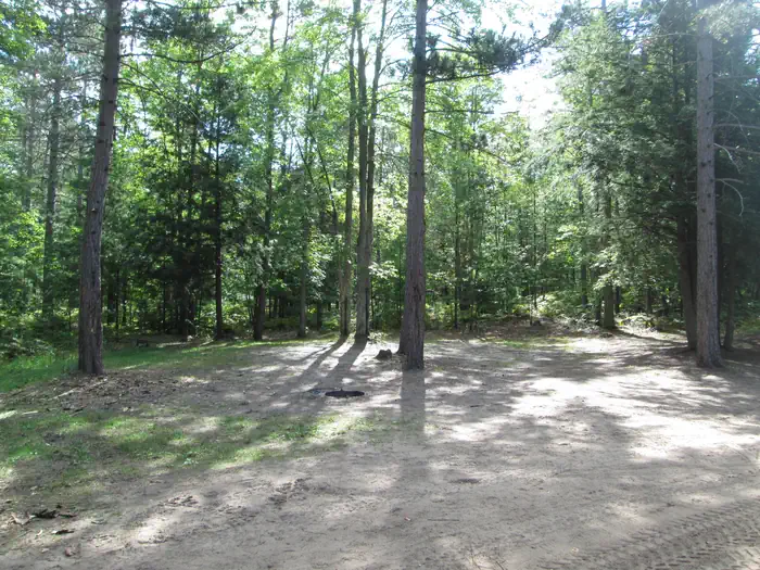 Mowe Lake Campsites photo 5