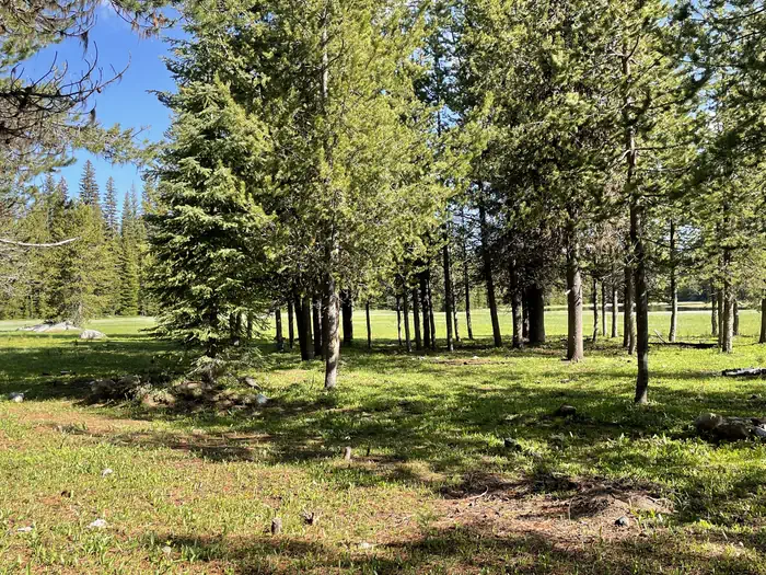 MUD LAKE CAMPGROUND photo 2