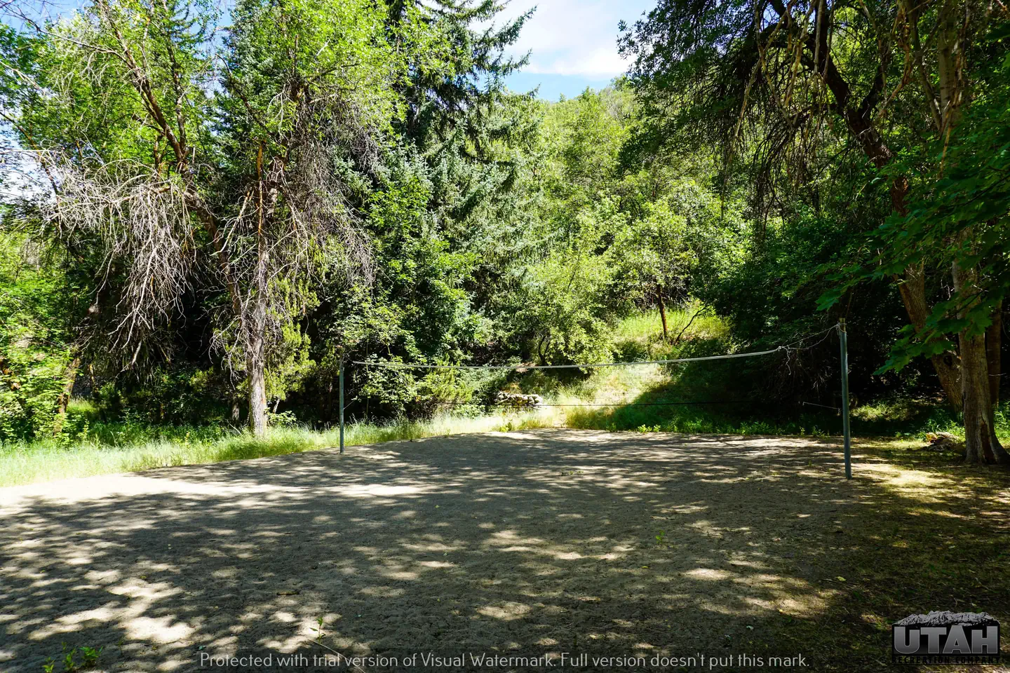 MUELLER PARK GROUP PICNIC photo