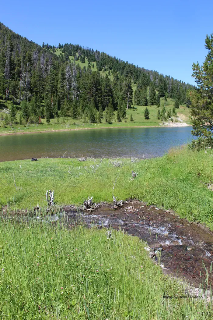 MYSTIC LAKE CABIN photo 2