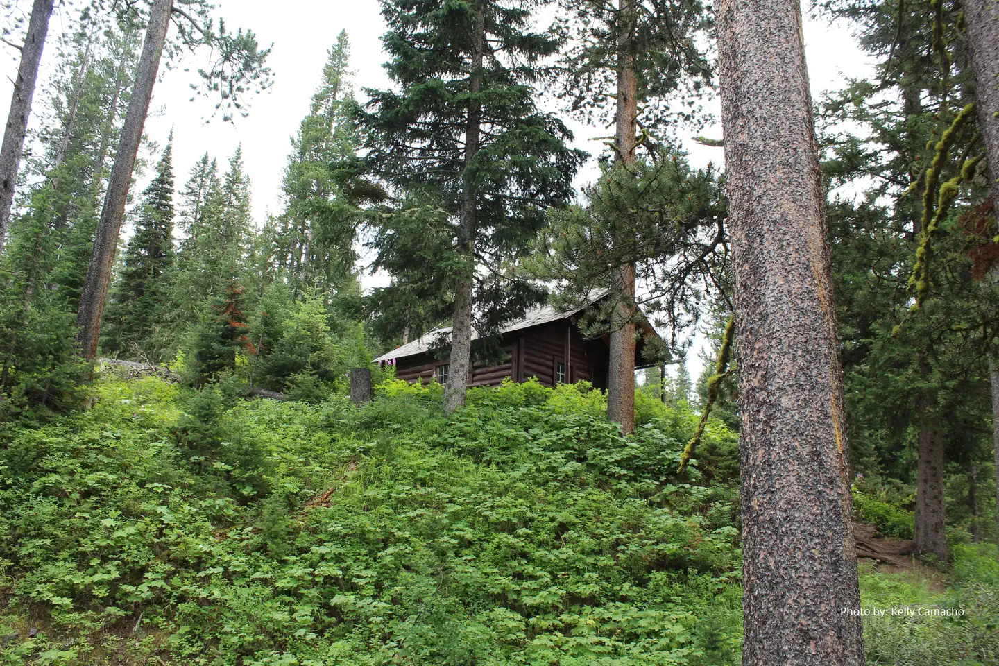 MYSTIC LAKE CABIN photo 3