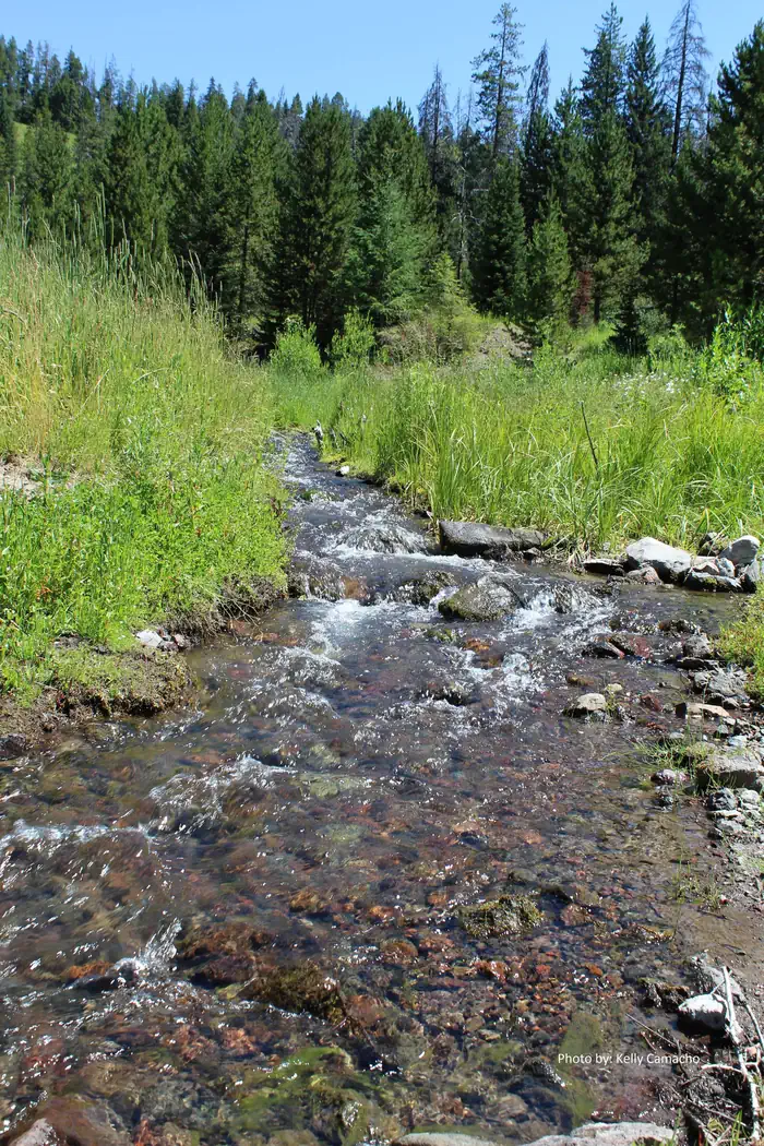 MYSTIC LAKE CABIN photo 5