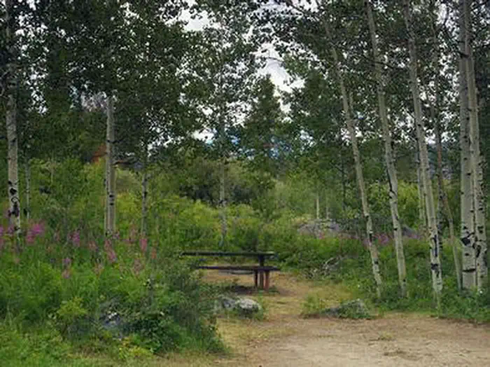 NARROWS CAMPGROUND photo 4