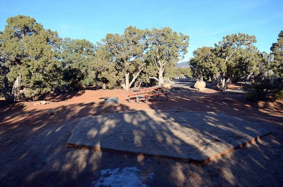 Natural Bridges Campground photo
