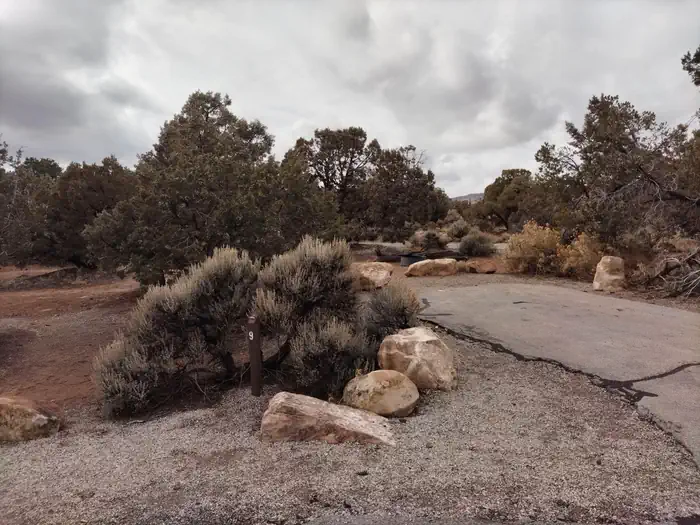 Natural Bridges Campground photo 5