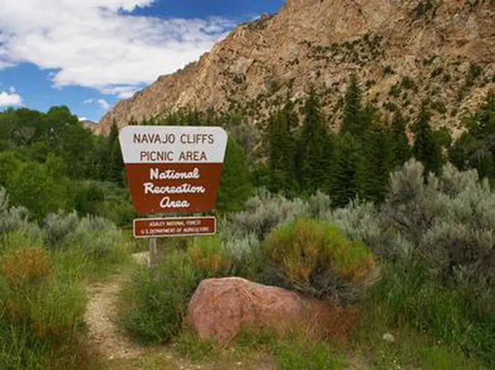 NAVAJO CLIFFS photo 4