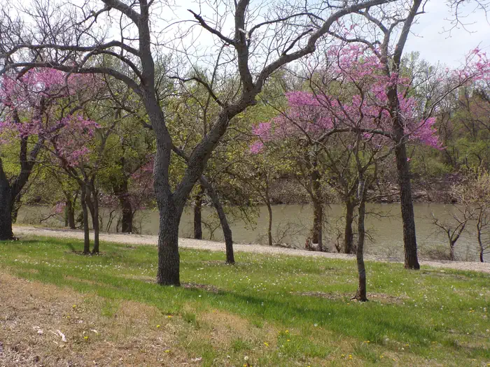 Neosho Park photo 3