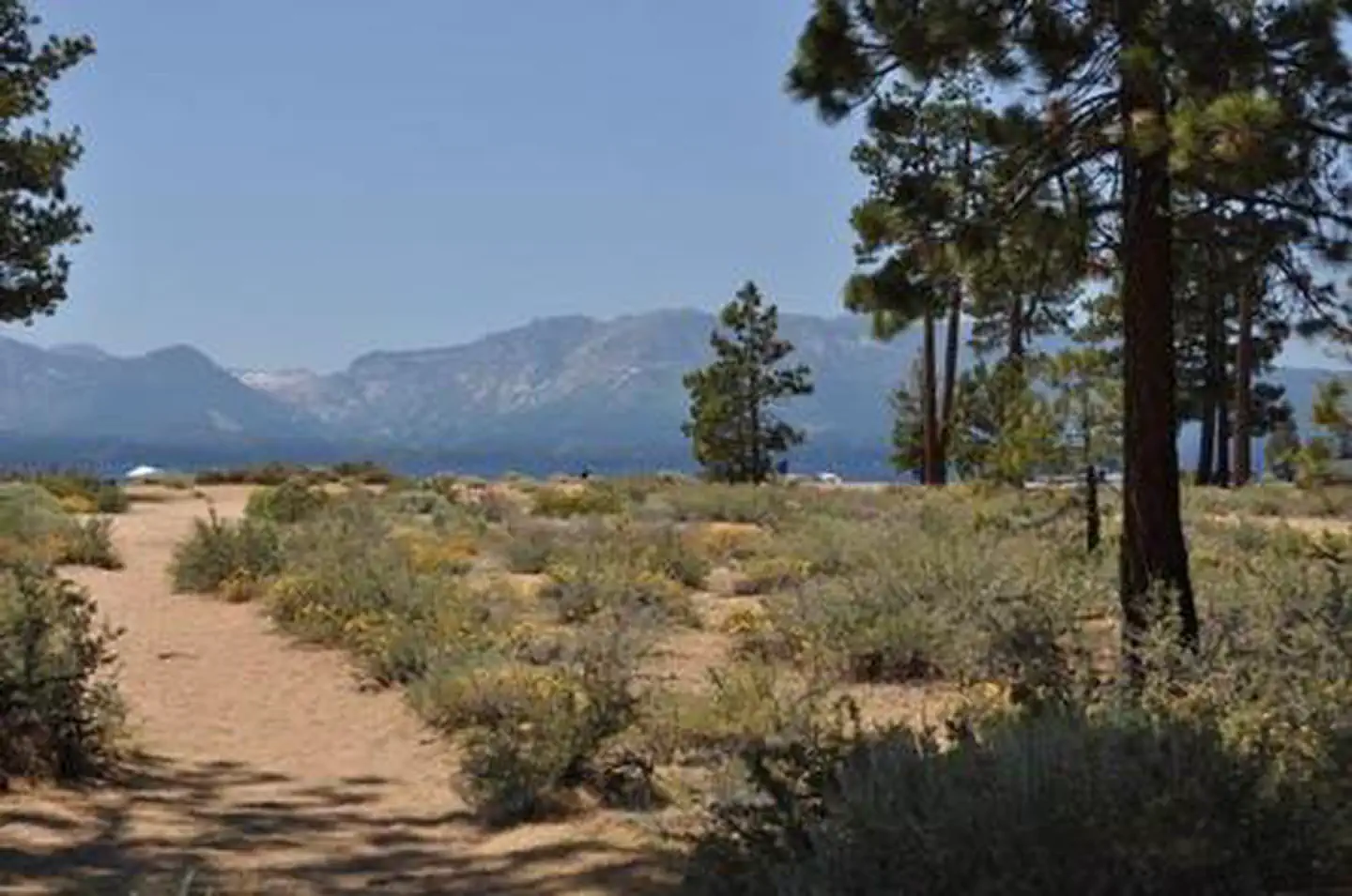 Nevada Beach Campground photo 3