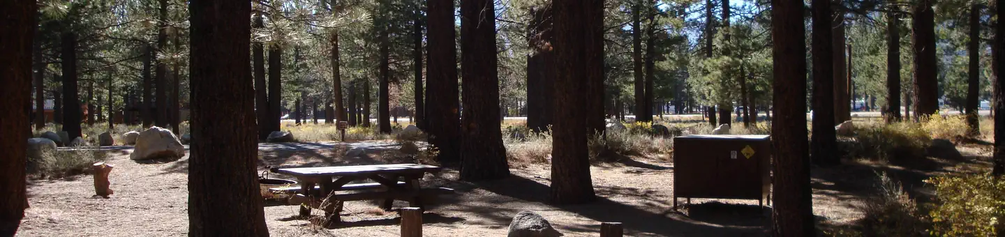 NEW SHADY REST CAMPGROUND photo