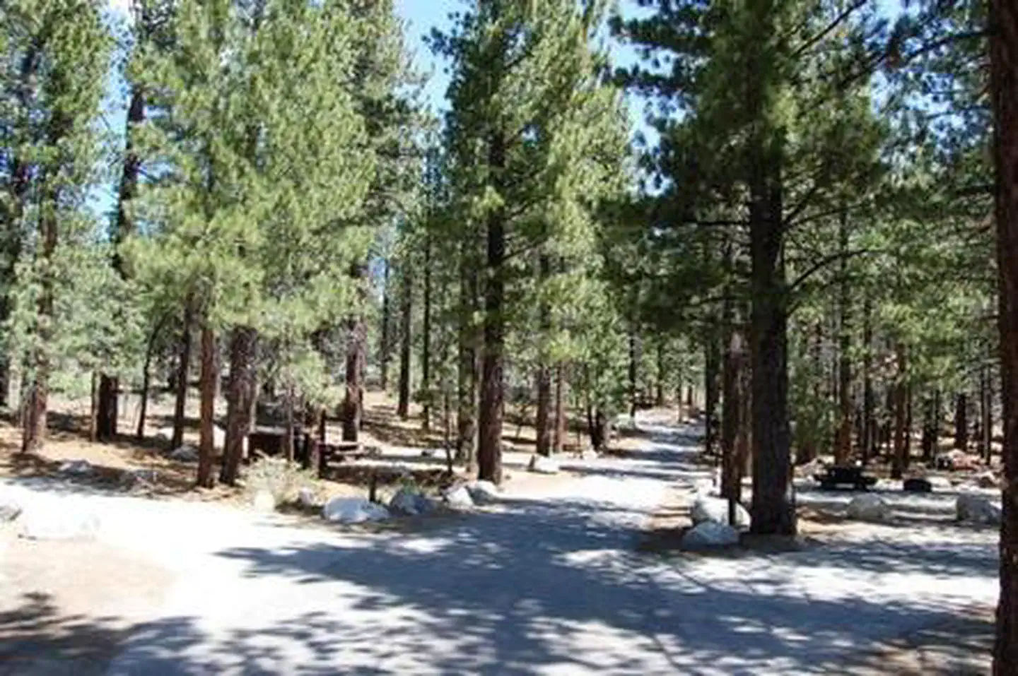NEW SHADY REST CAMPGROUND photo 2