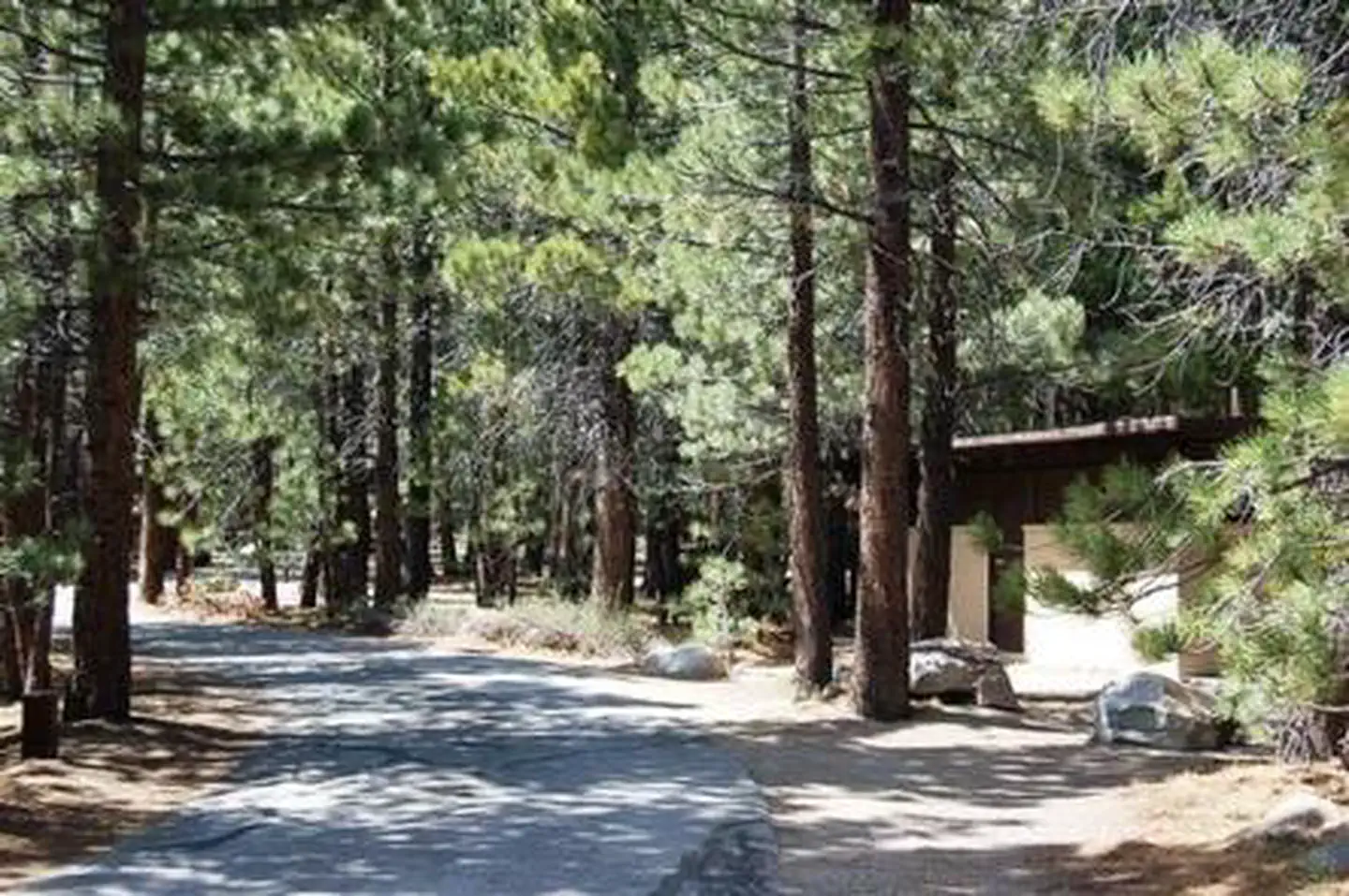 NEW SHADY REST CAMPGROUND photo 4