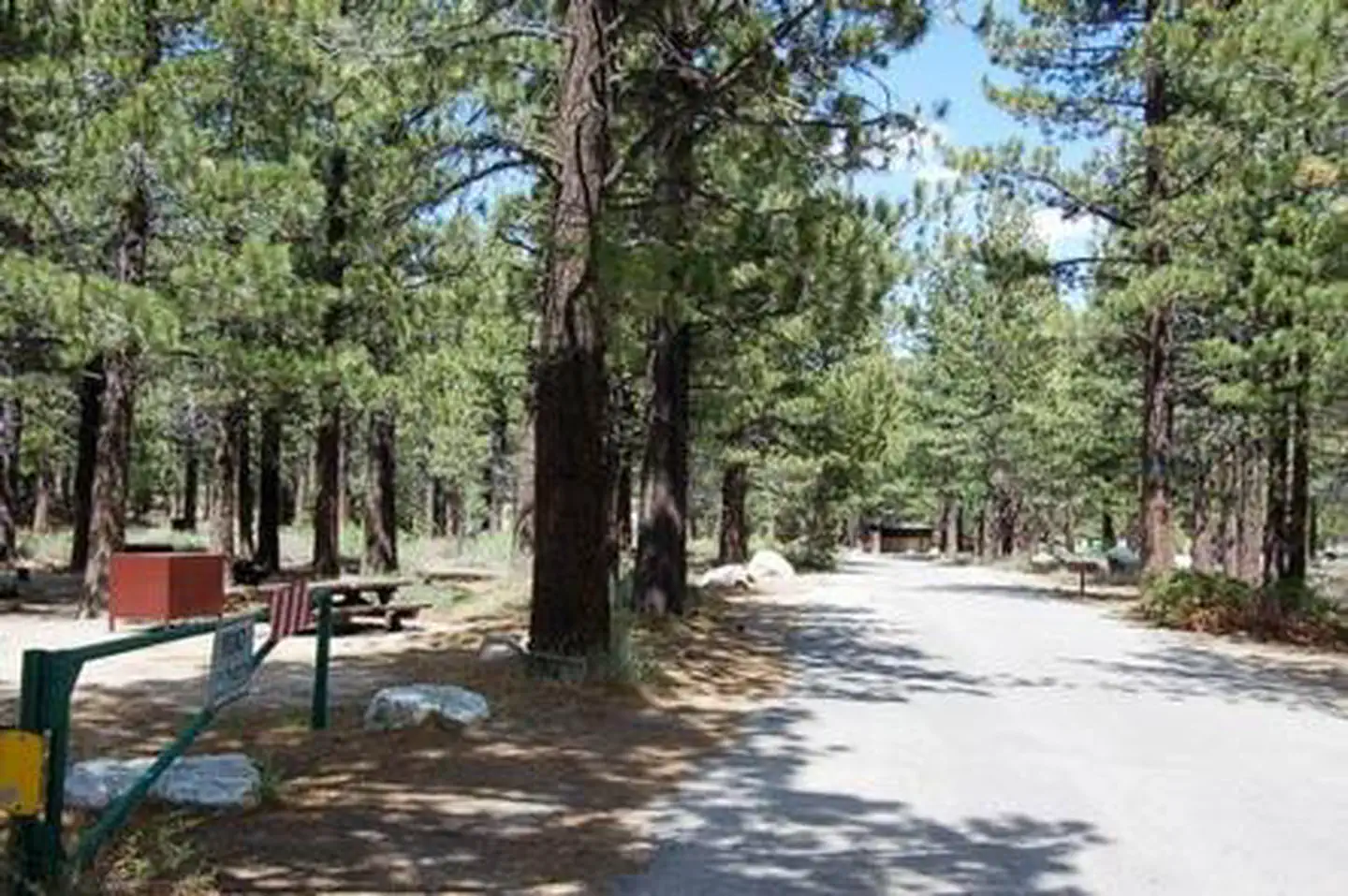 NEW SHADY REST CAMPGROUND photo 5