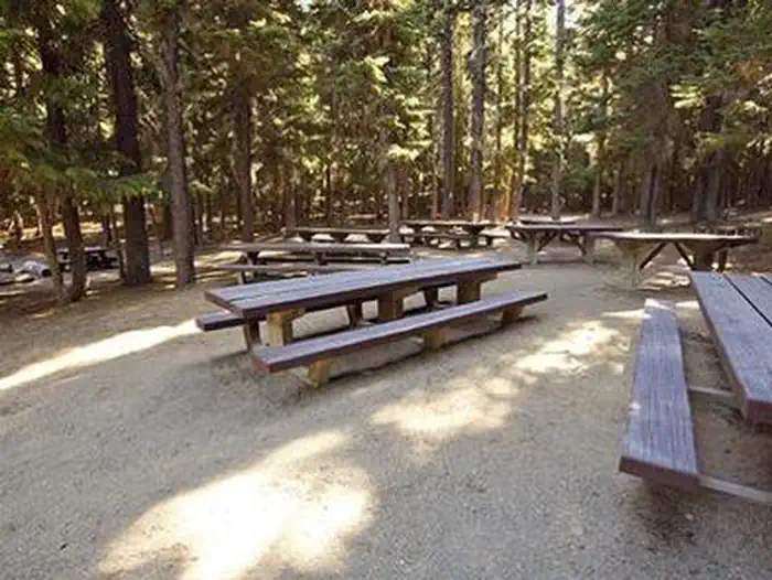 NEWBERRY GROUP CAMP SITE photo 2