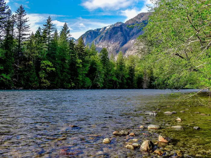 Newhalem Creek Campground photo 2