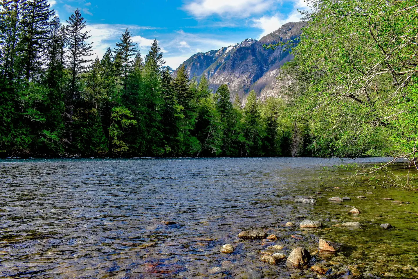 Newhalem Creek Campground photo 3