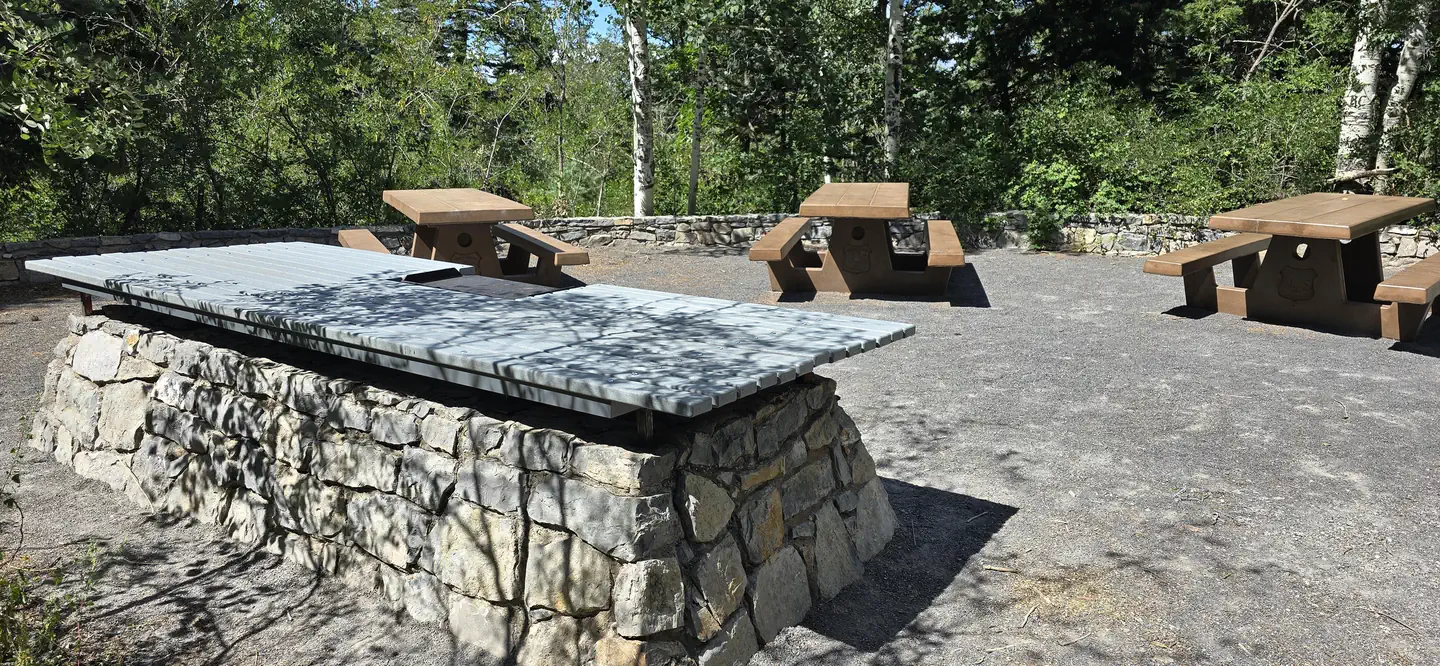 NINE MILE PICNIC SITE photo 2