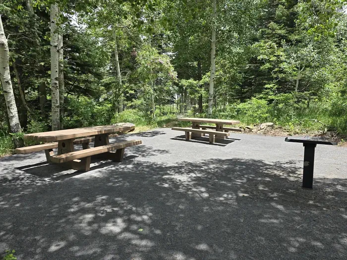 NINE MILE PICNIC SITE photo 3