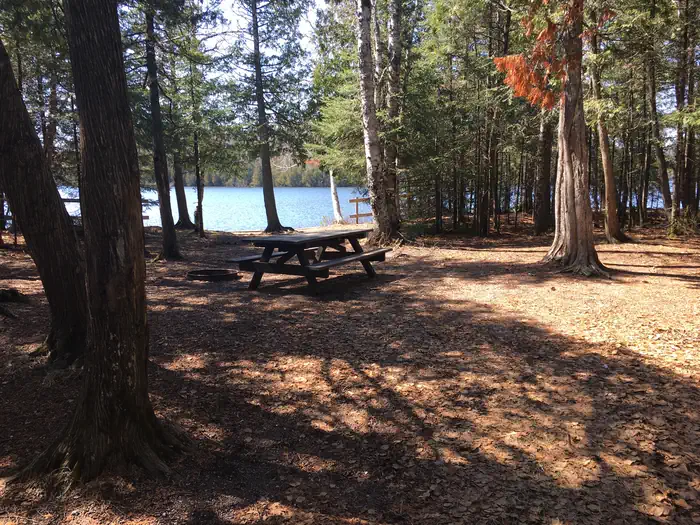 Ninemile Lake Campground photo 4