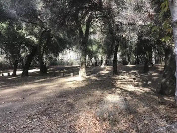 NIRA CAMPGROUND photo 4