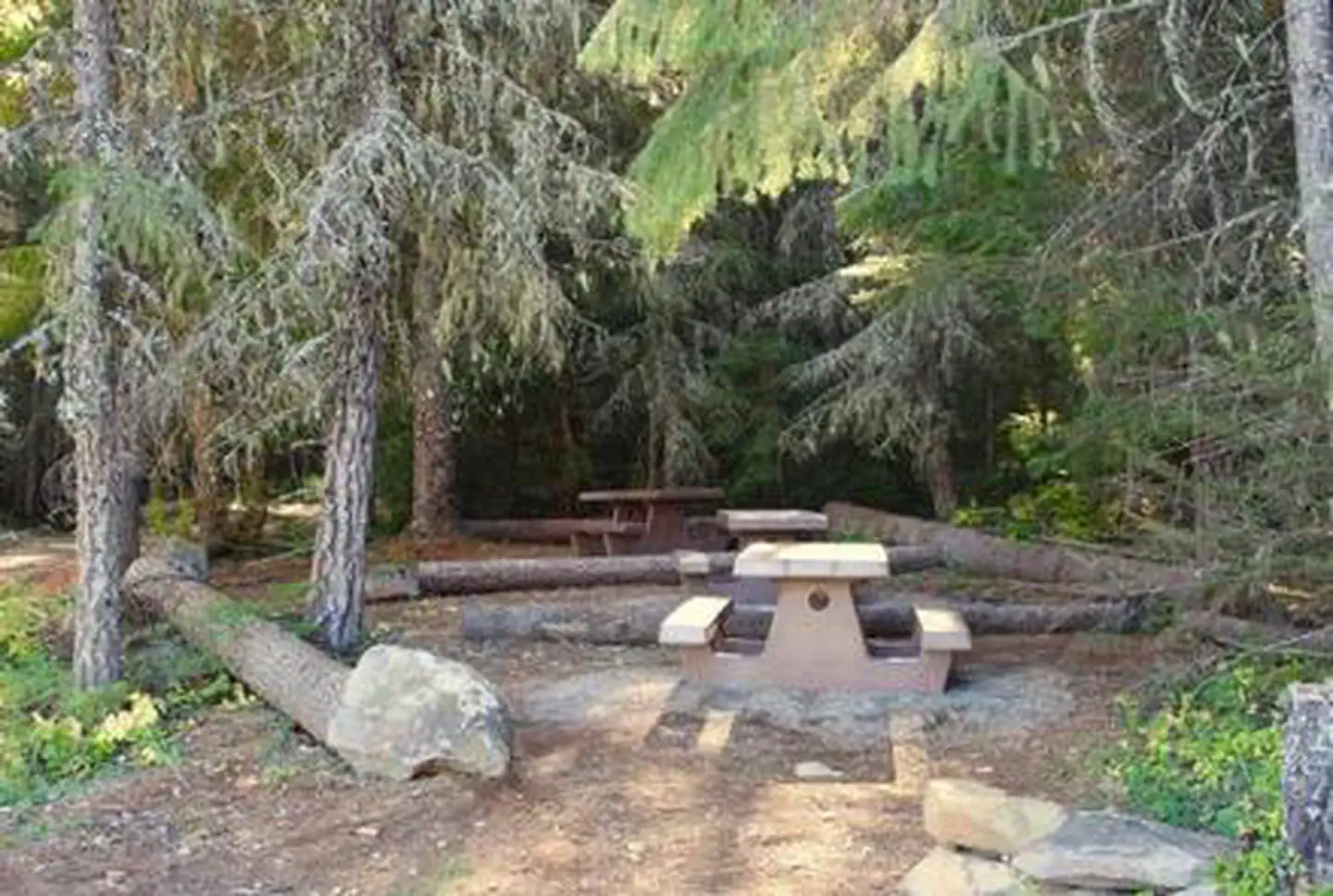 North Arm Campground (Timothy Lake, OR) photo 2
