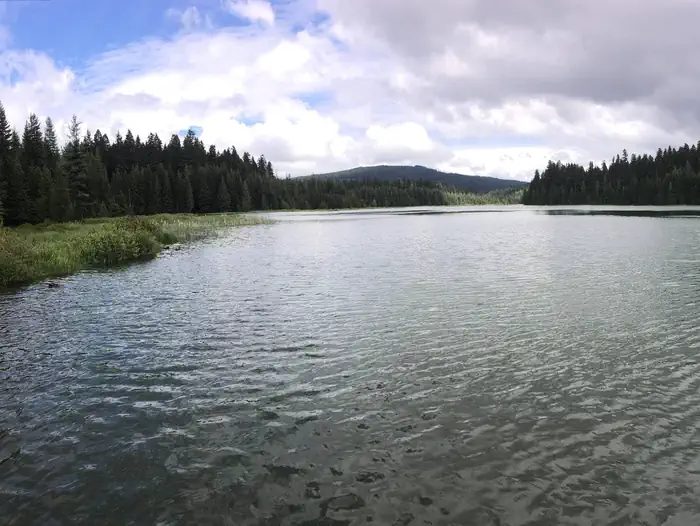 North Arm Campground (Timothy Lake, OR) photo 5