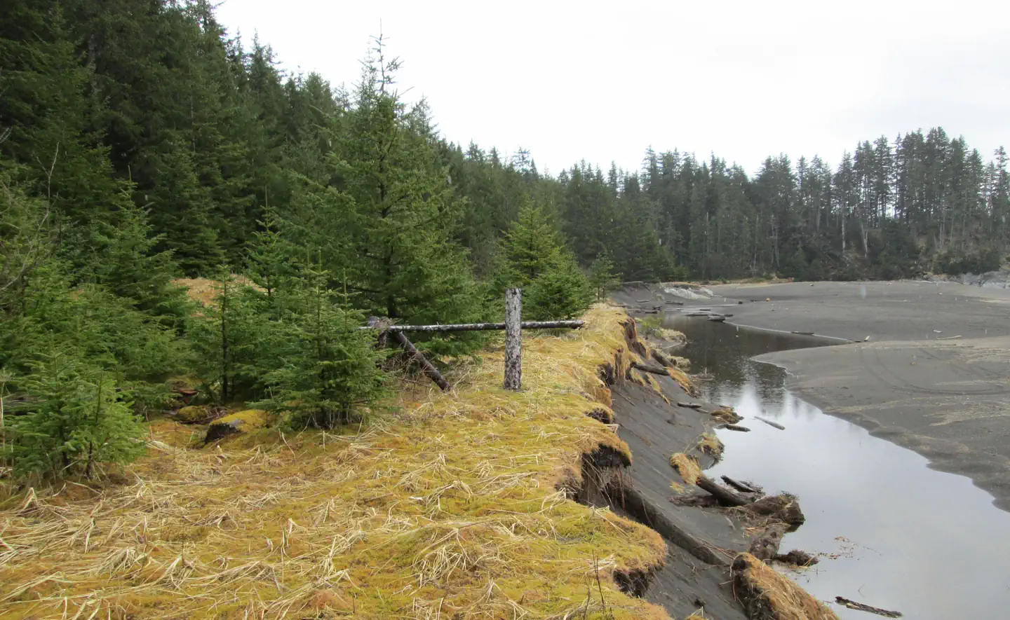 NORTH BEACH CABIN photo 5