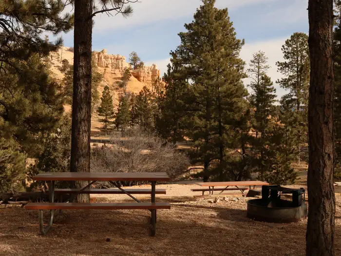North Campground (UT) photo 2
