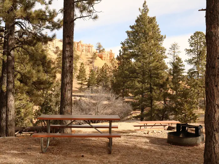 North Campground (UT) photo 3