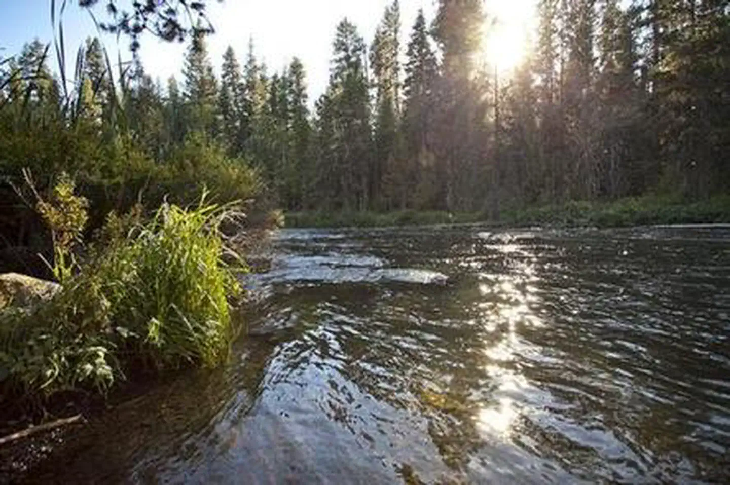 NORTH DAVIS CREEK CAMPGROUND photo