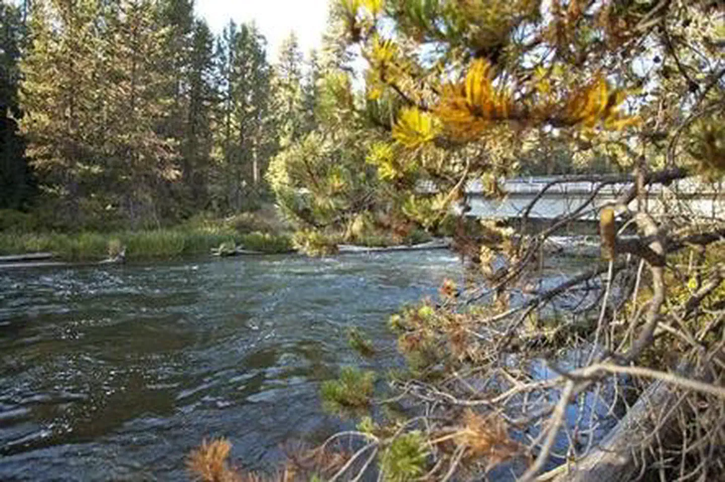NORTH DAVIS CREEK CAMPGROUND photo 2