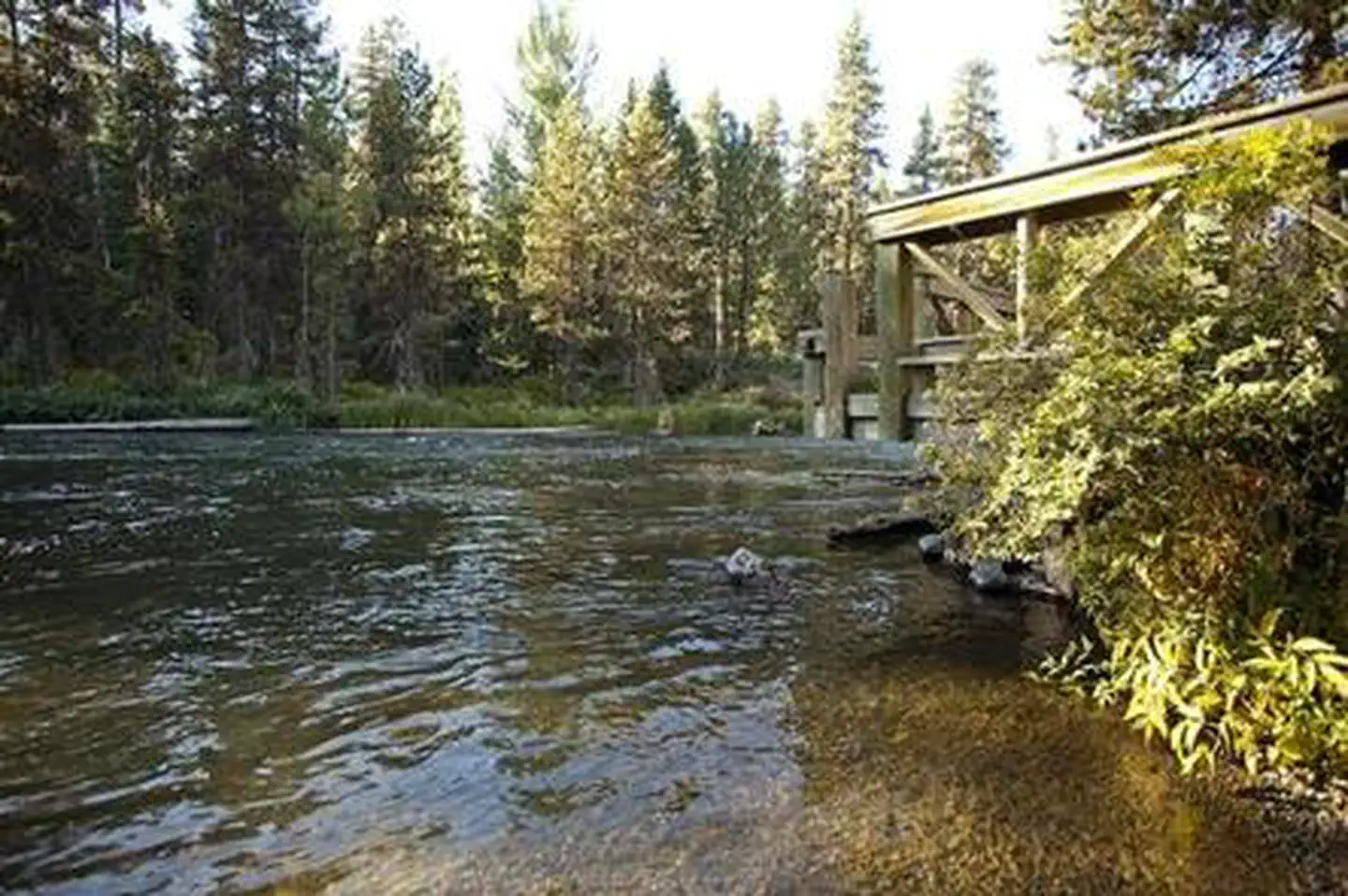 NORTH DAVIS CREEK CAMPGROUND photo 3