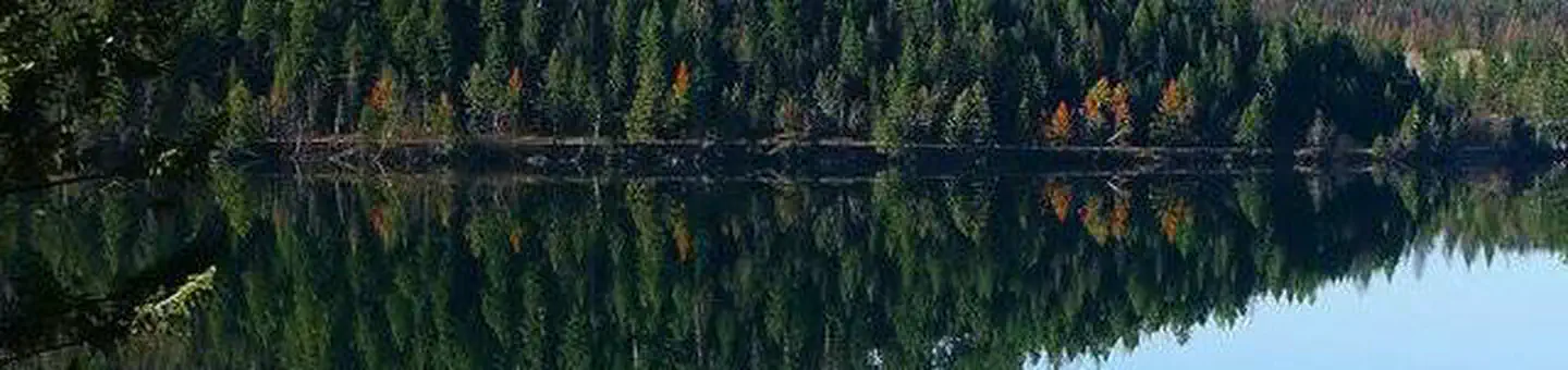 NORTH DICKEY LAKE photo