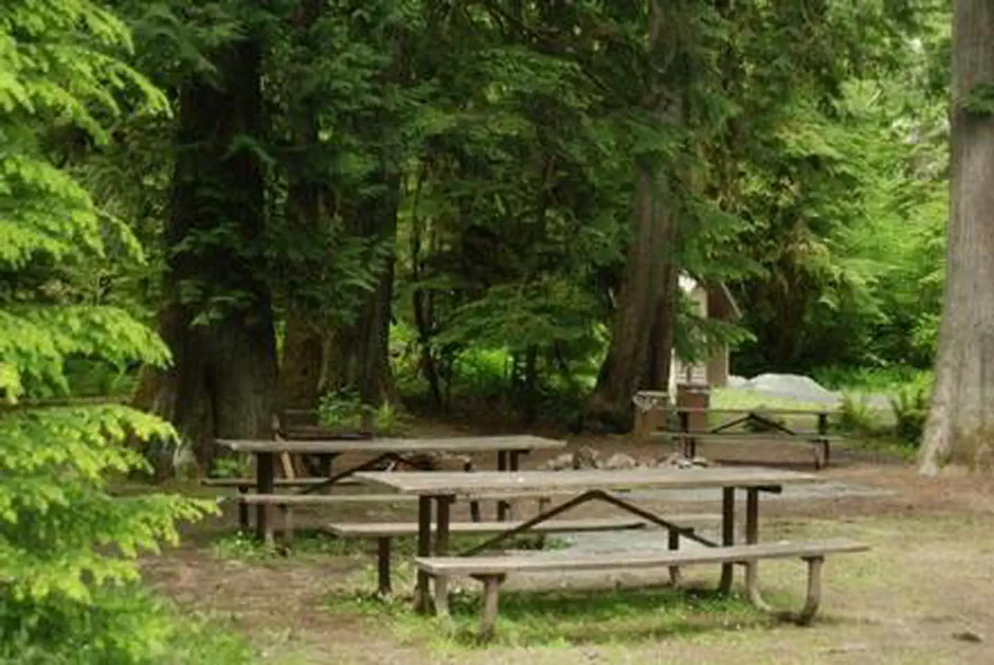 North Fork Bear Group Camp photo 2