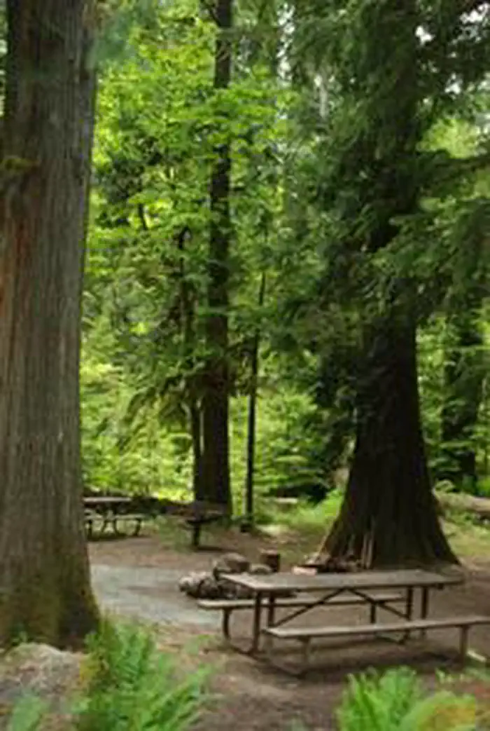 North Fork Bear Group Camp photo 4