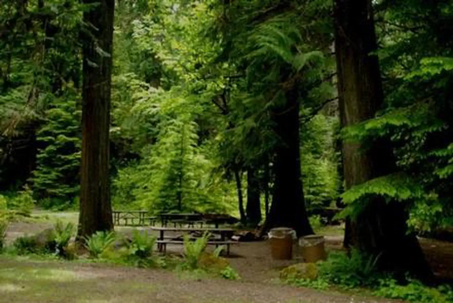 North Fork Bear Group Camp photo 5