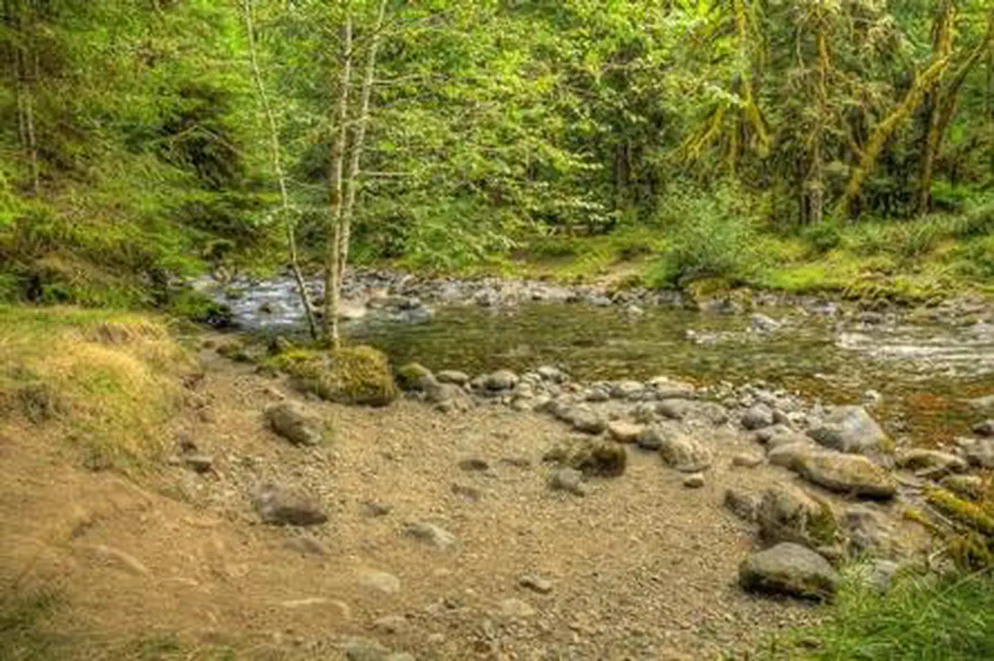 North Fork Beaver Group Camp photo