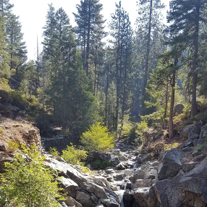 NORTH FORK (CA) photo 2