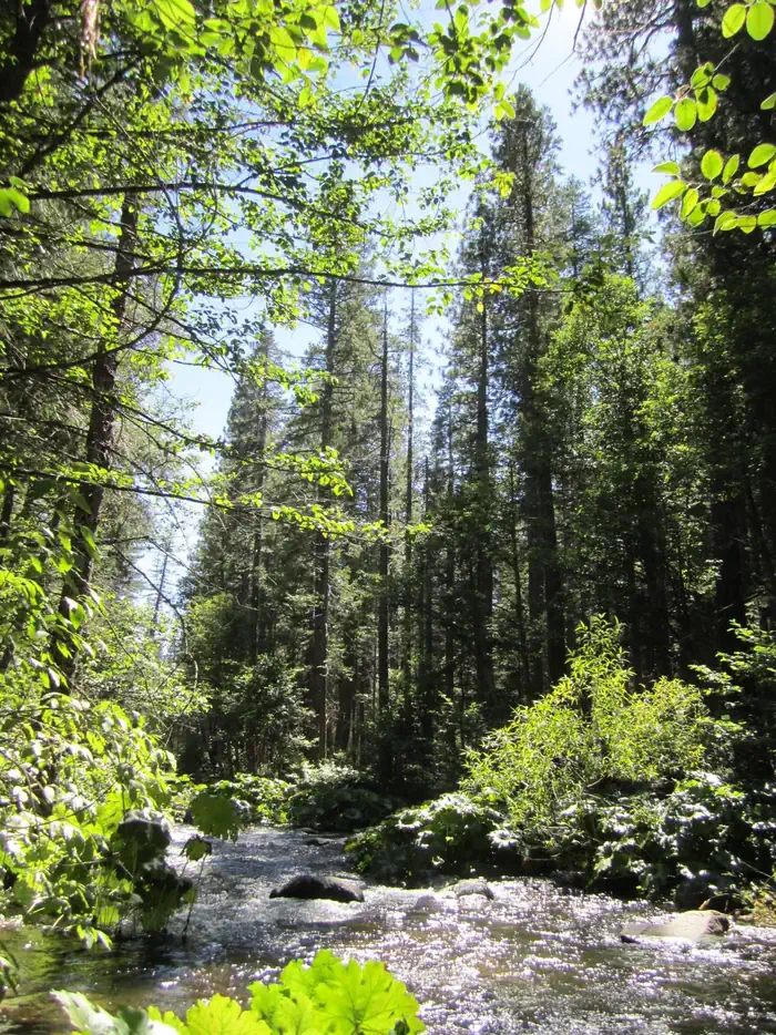NORTH FORK (CA) photo 3